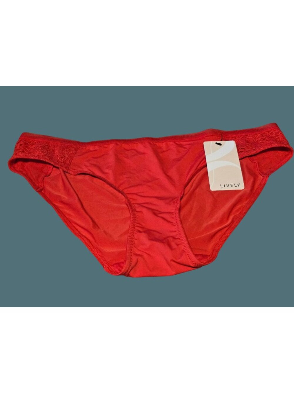 Lively Lace Brief Panty in Tomato Red Women Size Large
